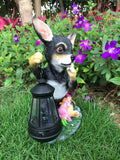 Chihuahua With Sleeping Gnome Girl Holding Automic Solar Light - Free Shipping